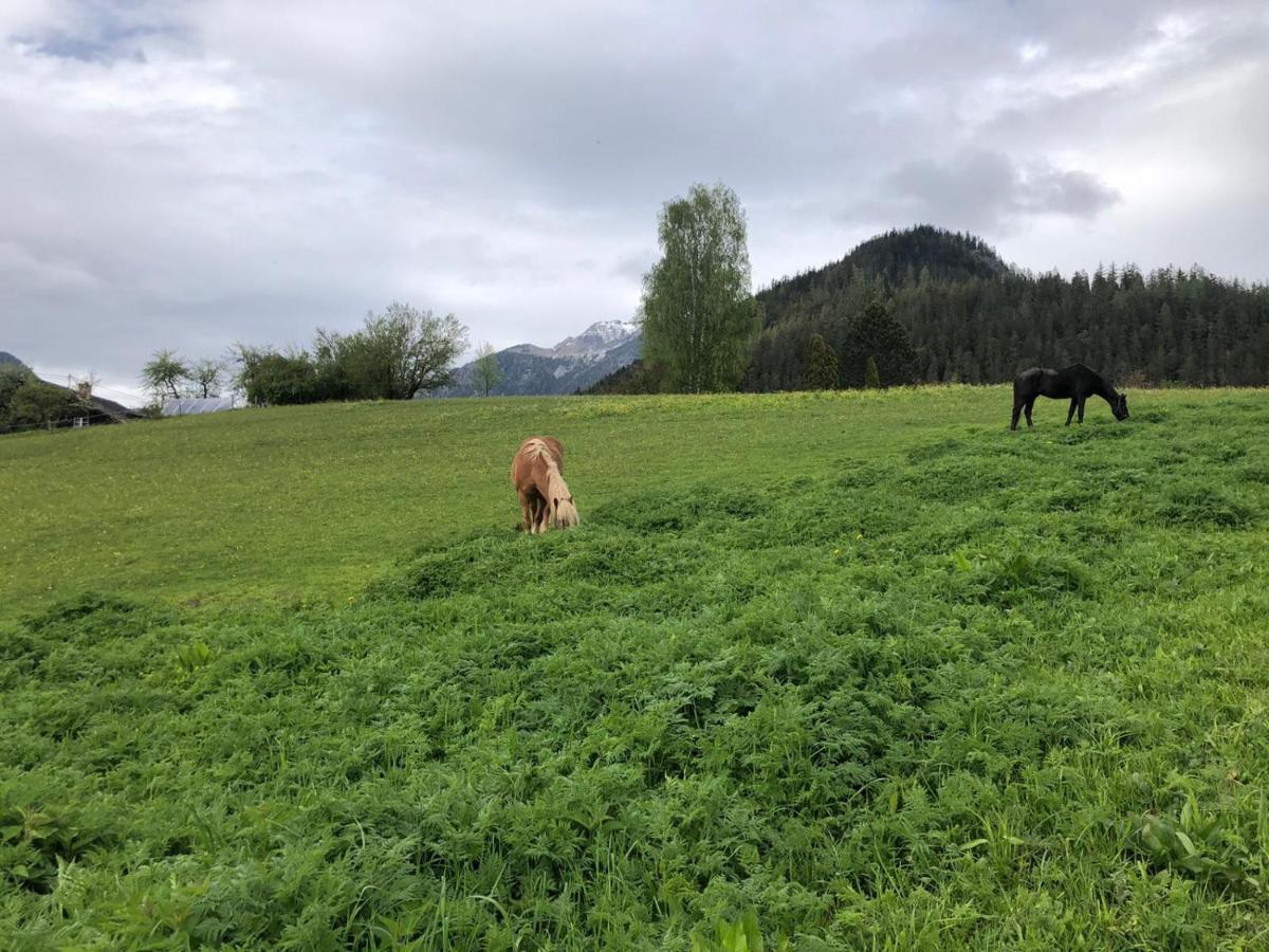 Sara * Bad Mitterndorf