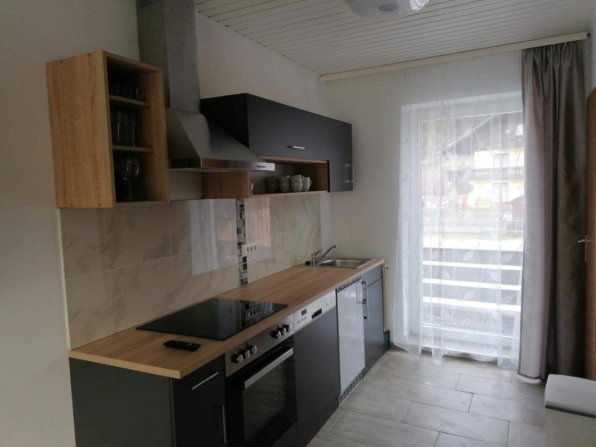 Sara Apartment Bad Mitterndorf